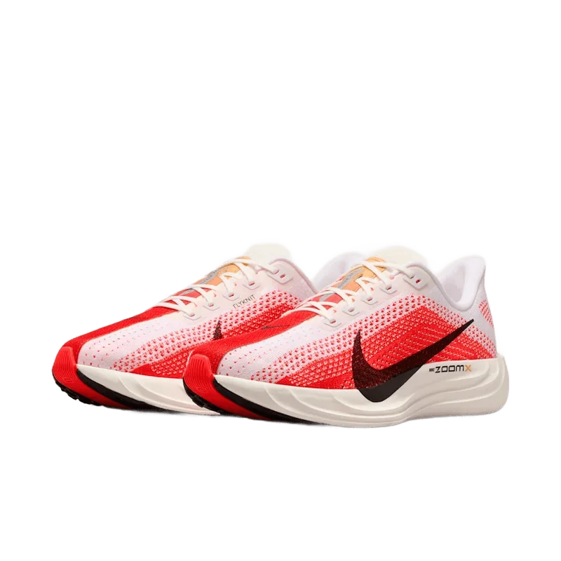 Nike 페가수스 플러스 - 4