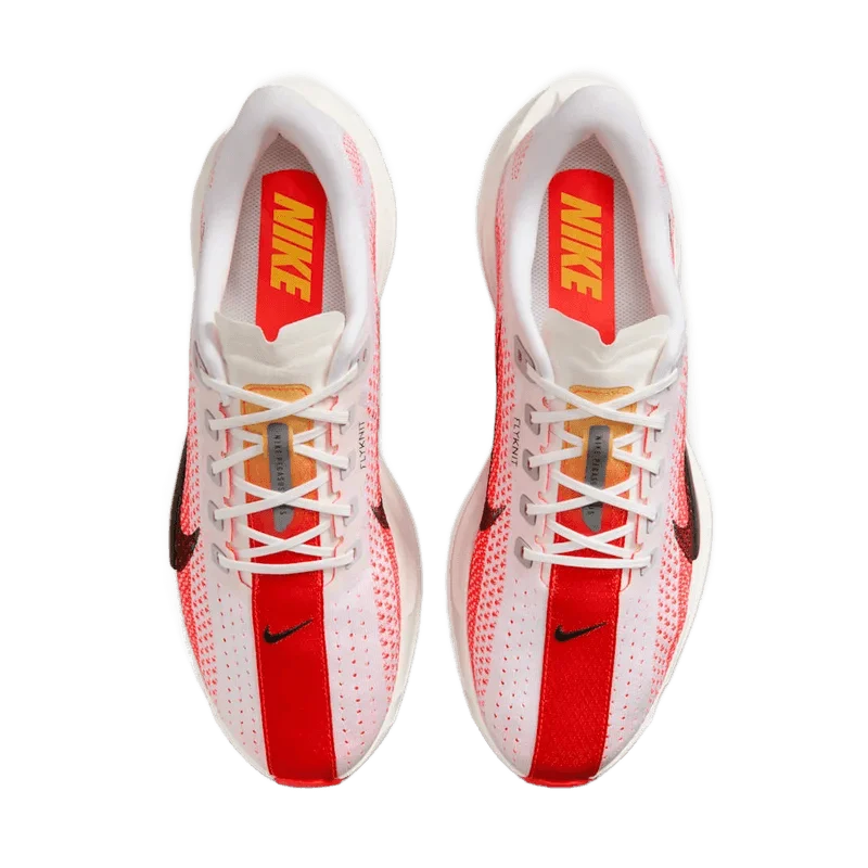 Nike 페가수스 플러스 - 3