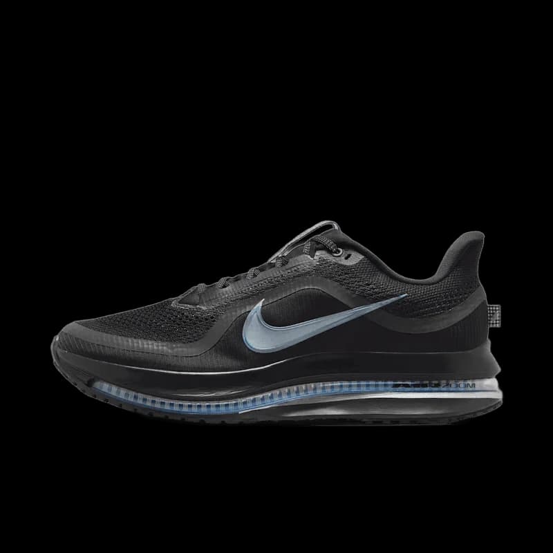 Nike 페가수스 프리미엄