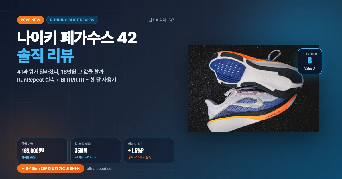 나이키 페가수스 42 솔직 리뷰 | 41과 뭐가 달라졌나, 16만원 그 값을 할까